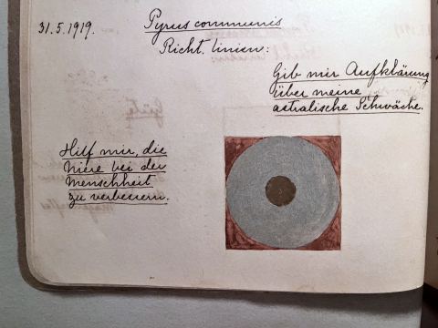 Pyrus communis