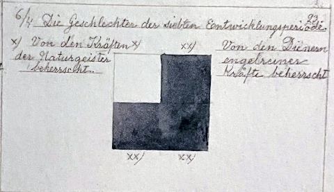 The Races of the Seventh Developmental Period