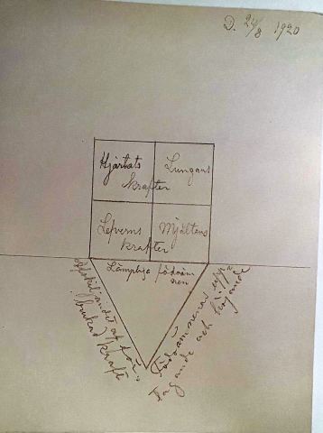 The Organs' Forces and Suitable Foodstuffs