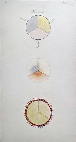 The Atom