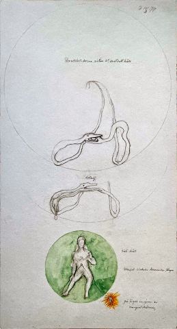 The dragon images are drawn in the opposite direction
