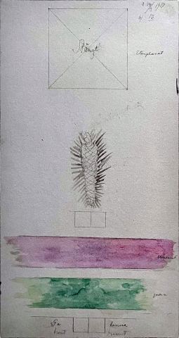 Closed etheric plane