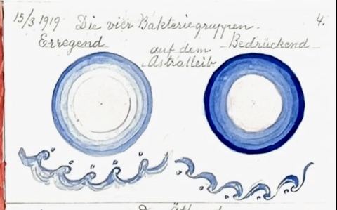 The Four Bacteria Groups