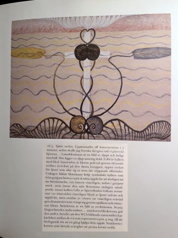 The Sixth Painting – The Lotus Flower