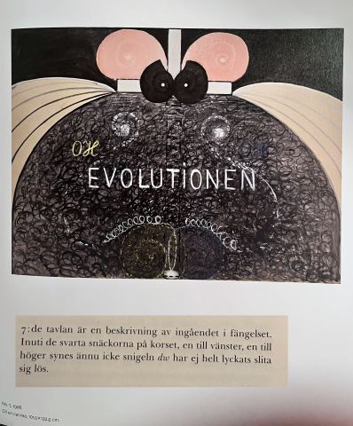 The Evolution, No. 7