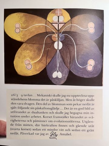 The Flower of the Resurrection